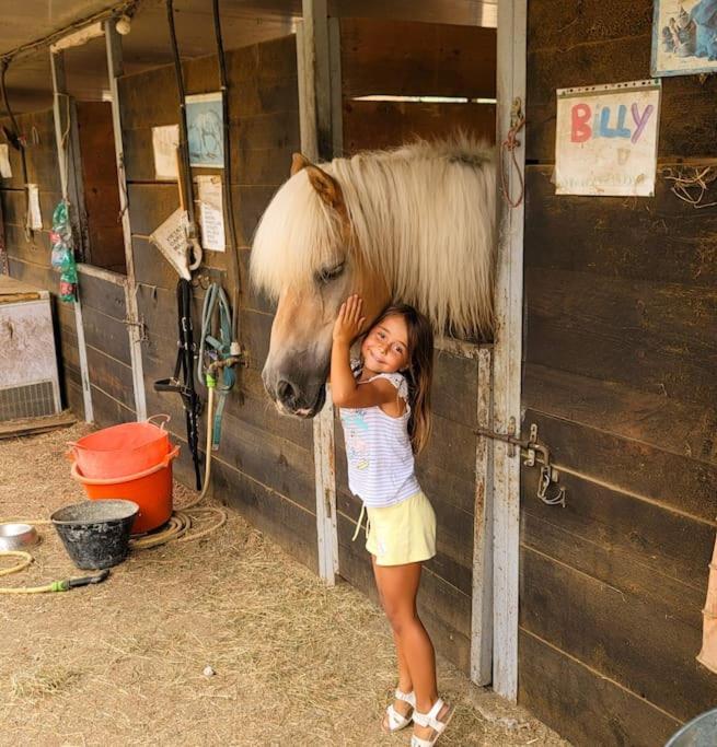 La Stalla, Casa Rustica Nel Ranch Di Cavalli Camporosso  Εξωτερικό φωτογραφία