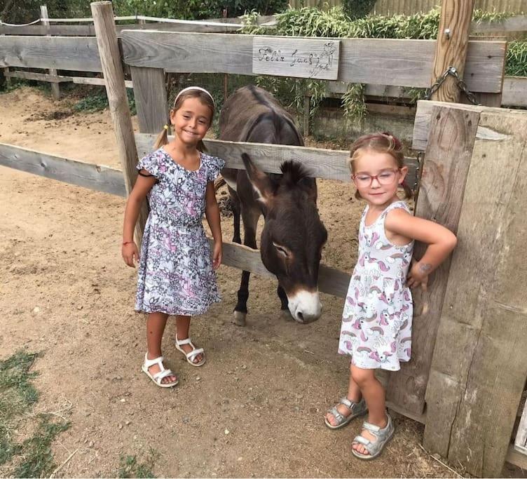 La Stalla, Casa Rustica Nel Ranch Di Cavalli Camporosso  Εξωτερικό φωτογραφία